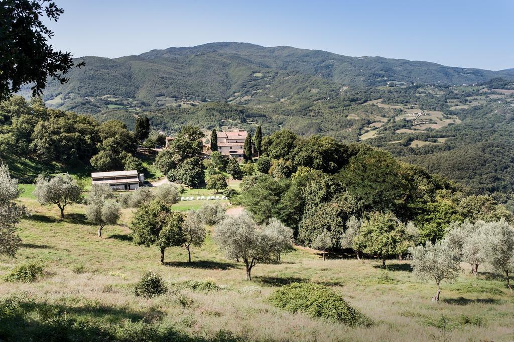Agriturismo Di Baroni Enzo Dicomano Bagian luar foto