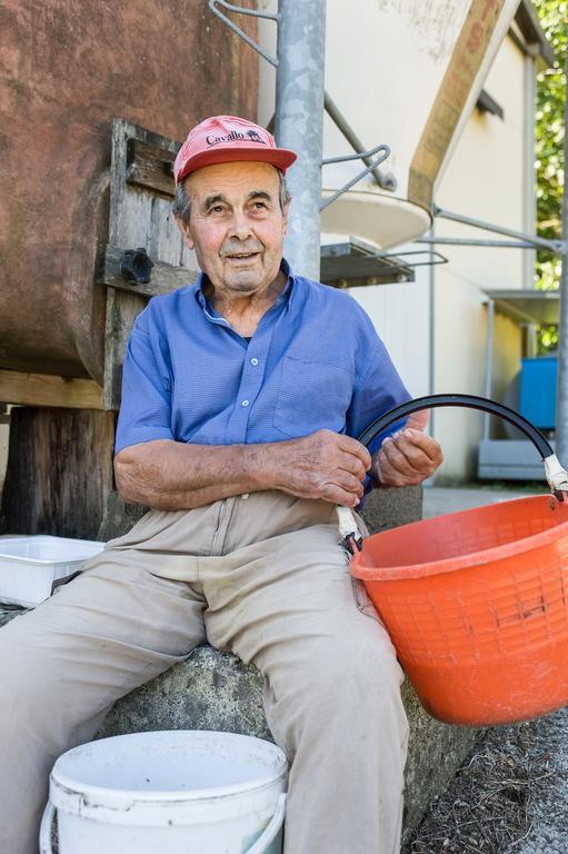 Agriturismo Di Baroni Enzo Dicomano Bagian luar foto