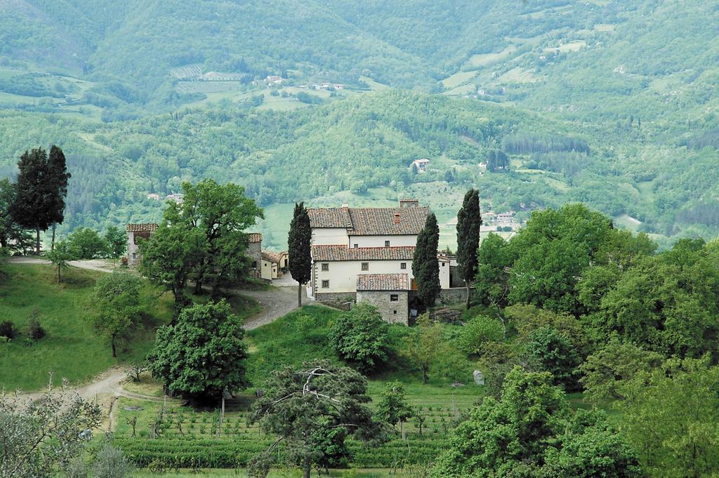 Agriturismo Di Baroni Enzo Dicomano Bagian luar foto